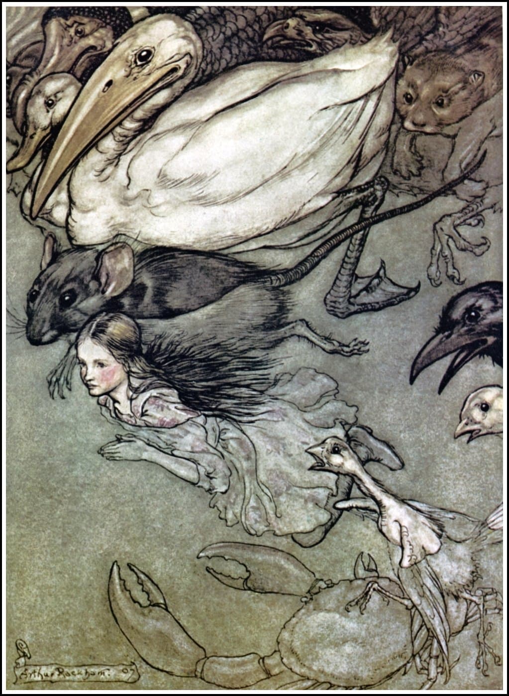 The Pool of Tears by Arthur Rackham (1907)